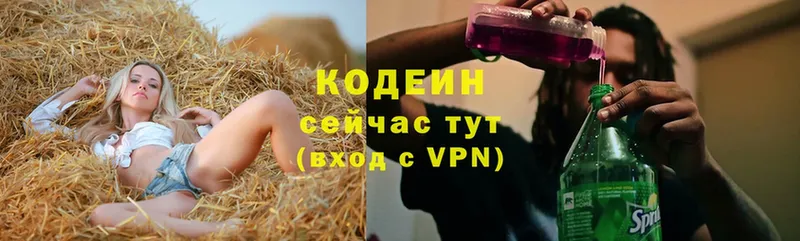 Кодеин Purple Drank  Богородицк 