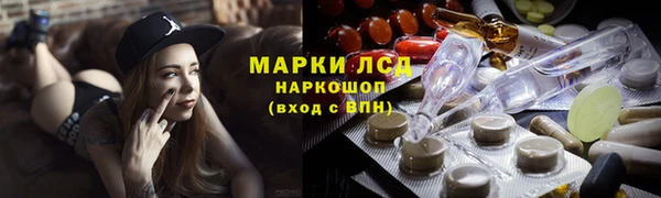 ПСИЛОЦИБИНОВЫЕ ГРИБЫ Бердск