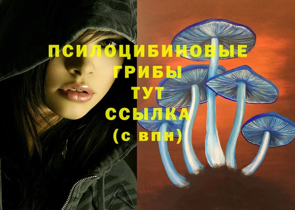ALPHA PVP Ачинск