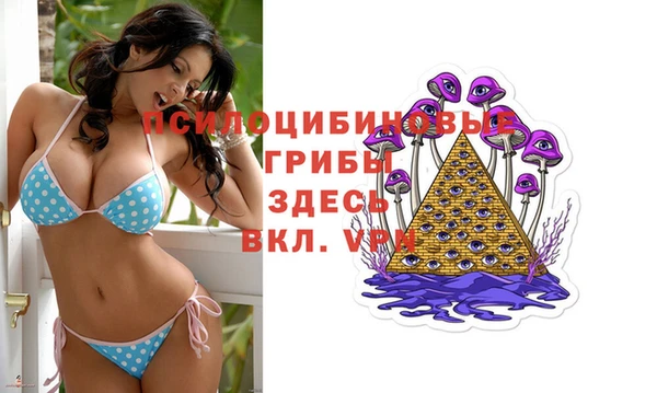 ПСИЛОЦИБИНОВЫЕ ГРИБЫ Бердск