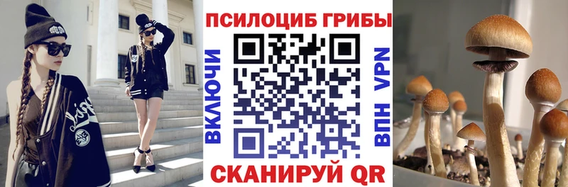 купить  цена  Богородицк  Псилоцибиновые грибы мицелий 