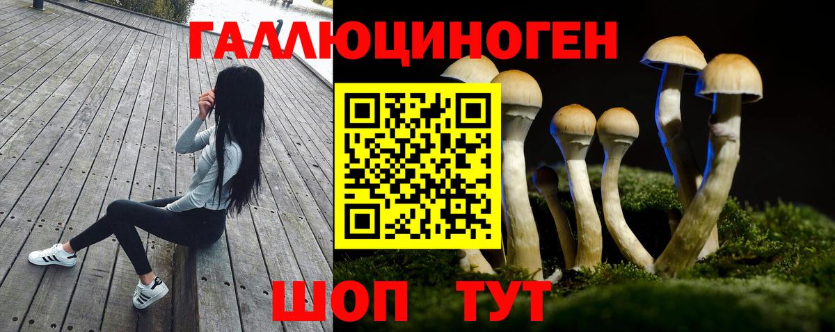 Богородицк  Бошки Шишки  МЕТ  ГАШИШ  Наркошоп  Вход с VPN  МЕФ   ГАШИШ  Альфа ПВП СК  
