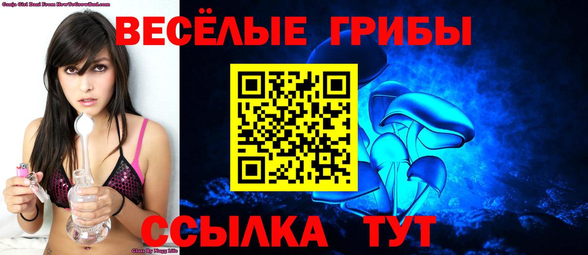 Богородицк  Псилоцибиновые грибы GOLDEN TEACHER  Вход с VPN 