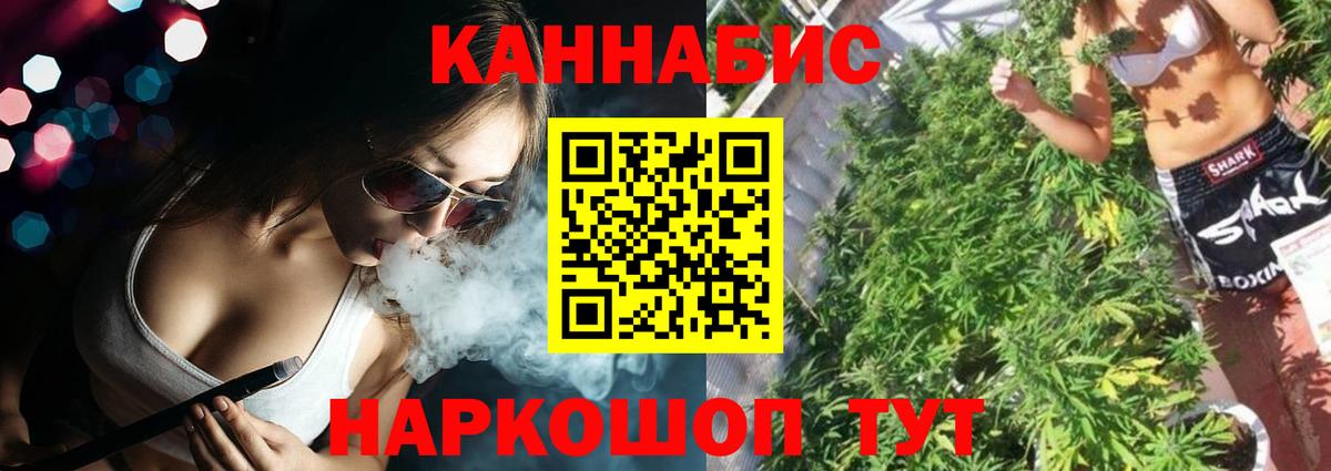 Шишки марихуана сатива  Каннабис план  Богородицк  Канабис LSD WEED 